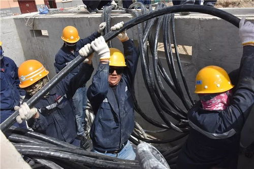 新時代 新作為 新風采 2019年力天機械榮耀庫供八件大事揭曉